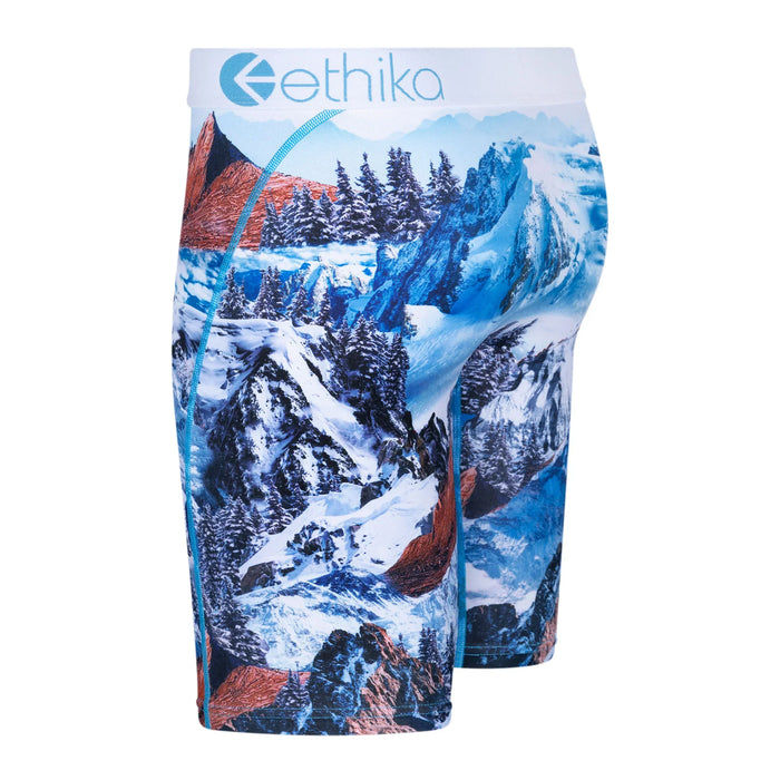 Ethika Men’s Staple Sno Peaks Boxer Briefs Underwear 197548070708 Free Shipping Worldwide