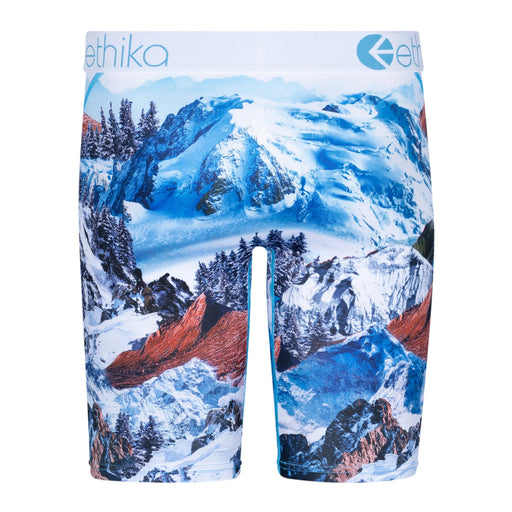 Ethika Men’s Staple Sno Peaks Boxer Briefs Underwear 197548070708 Free Shipping Worldwide