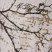 A.Tiziano ’Vance’ Graphic Print Tee Men’s T-Shirts