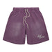 Almost Someday Signature Sun Fade Terry Short Men’s Shorts 511162