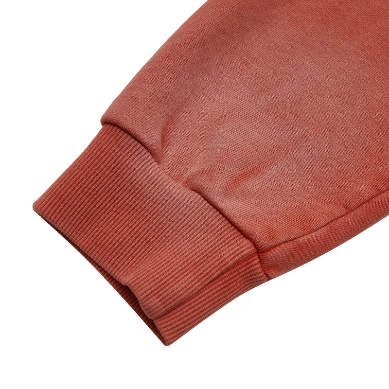 Almost Someday Signature Sun Faded Hoodie Men’s Hoodies 496934