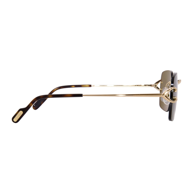 Cartier CT0330S Sunglasses 843023157739