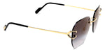 CARTIER CT0394S SUNGLASSES UNISEX METAL Sunglasses 843023169640