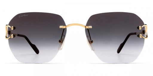 CARTIER CT0394S SUNGLASSES UNISEX METAL Sunglasses 843023169640