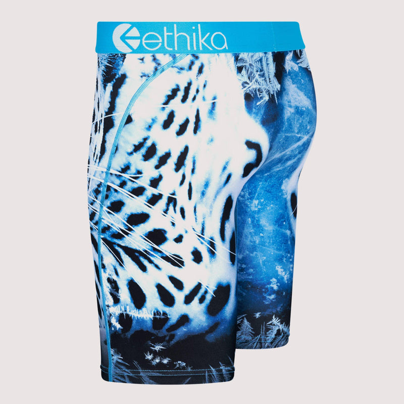 Ethika Men’s Staple Snow Force Boxer Briefs Underwear