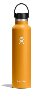 Hydro Flask Stainless Steel Standard Mouth Water Bottle with Flex Cap and Double-Wall Vacuum Insulation 810096856845