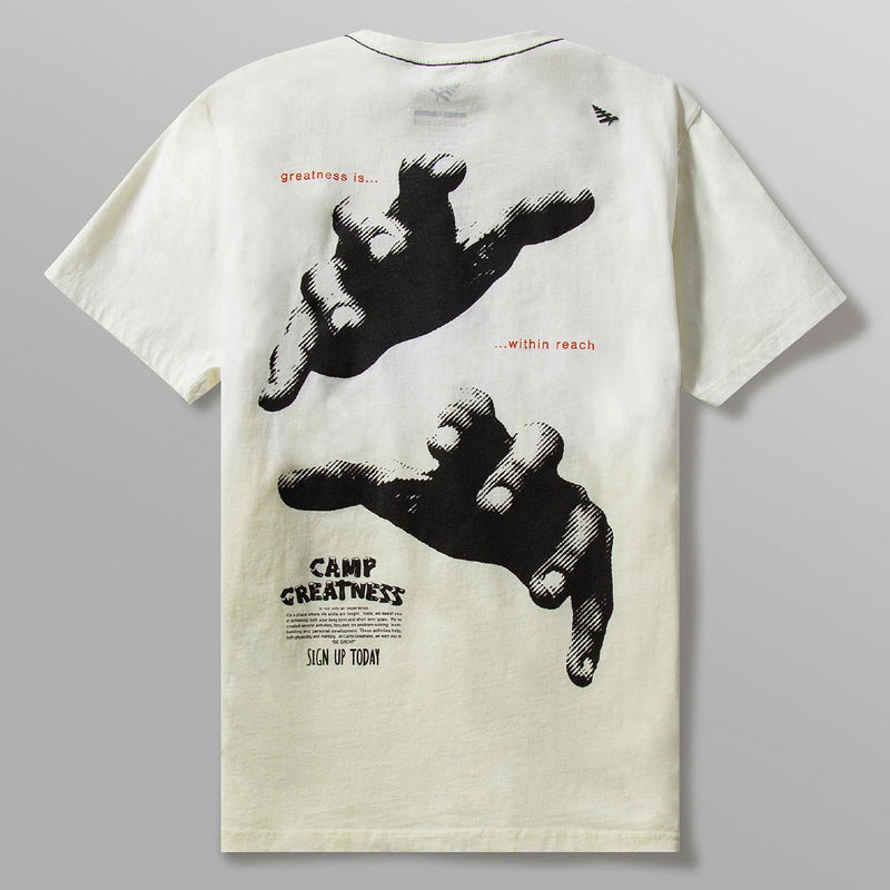 Paper Planes Greatness Within Reach Tee Men’s T-Shirts PAPER PLANES 840200926041 Free Shipping Worldwide